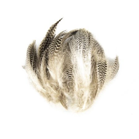 UV2 Ostrich Plume - Ostrich Feathers