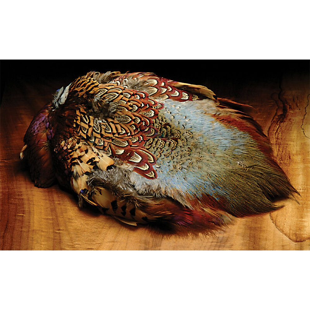 HR-Ringneck-Pheas-Skin.jpg