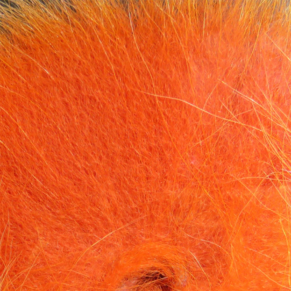 Hl-Artic-Fox-Hot-Org.jpg
