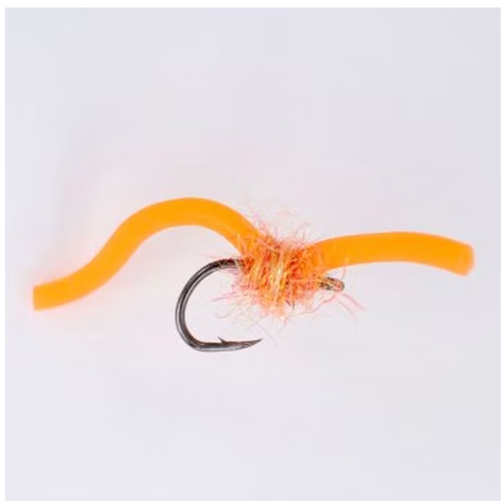 Sq-worm-Fl-Orange-1.jpg